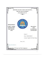 Semantics Topic  Word Meaning Homonymy And Polysemy; Synomyms And Antonyms Bài Tiểu Luận Nhóm Mình Thực Hiện Cho Môn Ngữ Nghĩa Học_.Pdf