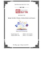 Đề tài Tìm hiểu về Router, Switches,Packets and Fammes