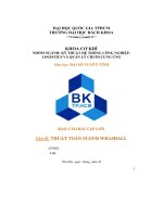 Báo cáo bài tập lớn thuật toán floyd wrashall