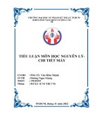 Tiểu luận môn học nguyên lýchi tiết máy