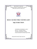 Báo cáo bài thực hành lab 5 sql injection