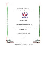 Đề tài tìm hiểu các danh thủ nam nữ cờ vua thế giới và việt nam