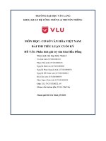 Môn học cơ sở văn hóa việt nam bài thi tiểu luận cuối kỳ đề tài phân tích giá trị văn hóa hầu đồng