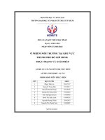 Tiểu luận  ô nhiễm môi trường tại khu vực thành phố hồ chí minh  thực trạng và giải pháp