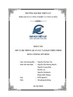 BÁO CÁO MÔ TẢ HỆ THỐNG QUAN SÁT TẠI RẠP CHIẾU PHIM BETA CINEMA MỸ ĐÌNH