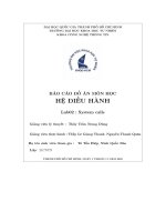 Báo cáo đồ án môn học hệ điều hành lab02 system calls