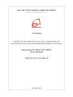 Nghiên cứu giải pháp nâng cao chất lượng mạng lõi chuyển mạch gói của Nokia Siemens Network và ứng dụng