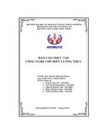 Báo cáo thực tập công nghệ chế biến lương thực tổng quan sản xuất mì