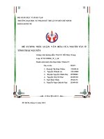 Đề cương tiểu luận văn hóa của người tày ở tỉnh thái nguyên