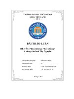 Bài Thảo Luận Đề Tài Phân Tích Tục “Bắt Chồng” Ở Vùng Văn Hoá Tây Nguyên.pdf