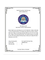 Nghiên Cứu Sự Ảnh Hưởng Của Các Yếu Tố Nhận Thức Và Động Cơ Đến Hành Vi Mua Của Người Tiêu Dùng Với Sản Phẩm Nước Giặt Omo Của Công Ty Unilever.pdf