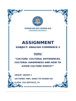 Topic Culture Cultural Differences, Cultural Awareness And How To Avoid Culture Shock.pdf