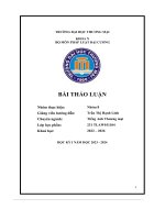 Bài Thảo Luận Áp Dụng Pháp Luật.pdf