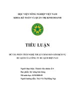 Tiểu luận đề tài phân tích nghệ thuật chào bán gói dịch vụ du lịch của công ty du lịch hiện nay