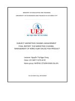 The marketing channel management of hồng hạnh sauce fish product