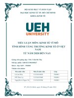 Tiểu luận môn kinh tế vĩ mô tình hình tăng trưởng kinh tế ở việt nam từ năm 2020 đến nay