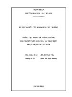 Đề tài nghiên cứu khoa học cấp Trường: Pháp luật ASEAN về phòng chống tội phạm xuyên quốc gia và thực tiễn thực hiện của Việt Nam