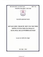 Kết quả điều trị bước một ung thư phổi không tế bào nhỏ giai đoạn iv bằng phác đồ có pembrolizumab