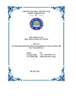 Bài thảo luận học phần kinh tế lượng các biện pháp khắc phục hiện tượng phương sai của sai số thay đổi  lấy ví dụ minh họa