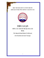 Tiểu Luận - Quảng Cáo - Đề Tài -  Xây Dựng Nội Dung Quảng Cáo Hiệu Quả Trên Facebook Cho Dự Án Viecngay