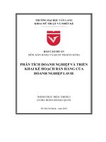 Phân tích doanh nghiệp và triển khai kế hoạch bán hàng của doanh nghiệp lavie