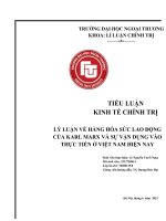 LÝ LUẬN VỀ HÀNG HÓA SỨC LAO ĐỘNG CỦA KARL MARX VÀ SỰ VẬN DỤNG VÀO THỰC TIẾN Ở VIỆT NAM HIỆN NAY