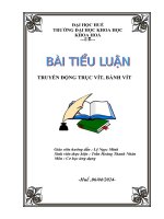 tran hoang thanh nhan 123