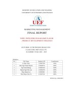 Topic pepsi zero sugar lime flavor  product development strategy