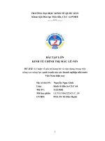 Đề bài  lý luận về giá trị hàng hó và vận dụng trong việc nâng cao năng lực cạnh tranh của các doanh nghiệp nhà nước việt nam hiện nay