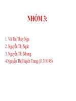 Câu hỏi đối chiếu câu phủ định việt  anh