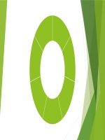 Báo cáo ma túy, tác hại của ma túy