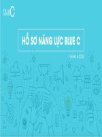 Hồ Sơ Năng Lực Công Ty Truyền Thông Nôi Bộ Blue C