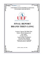 Final reportbrand thien long
