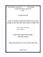 Luận văn thạc sĩ Luật học: CPTPP và vấn đề gia nhập thị trường của doanh nghiệp da giầy Việt Nam - Thực trạng và triển vọng