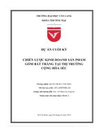 Dự án cuối kỳ chiến lược kinh doanh sản phẩm gốm bát tràng tại thị trường cộng hòa séc