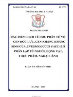 Hiệu quả kiểm soát hen bằng seretide tại câu lạc bộ phòng chống hen hà nội