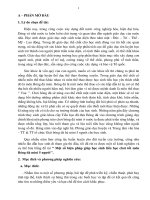 Một số biện pháp giúp học sinh tiểu học chơi tốt môn Bóng đá mini 5 người’’.