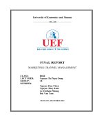 Channel strategy b04e group 10 final report on1lixco