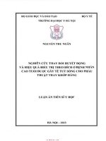 Nghiên cứu thay đổi huyết động và hiệu quả điều trị theo đích ở bệnh nhân cao tuổi được gây tê tủy sống cho phẫu thuật thay khớp háng