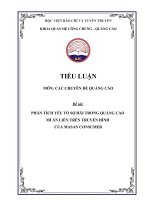 Tiểu Luận -  Quảng Cáo - Đề Tài - Phân Tích Yếu Tố Sợ Hãi Trong Quảng Cáo Mì Ăn Liền Trên Truyền Hình Của Masan Consumer