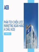 Phân tích chiến lược marketing ngân hàng á châu (acb)