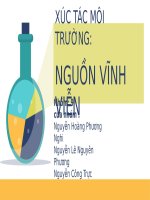 Slide xúc tác môi trường nguồn vĩnh viễn