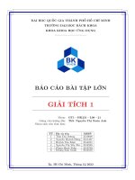 BÁO CÁO BÀI TẬP LỚN GIẢI TÍCH 1