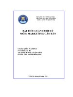 Phân tích tình hình, tìm hiểu và phân tích chiến lược 4ps của doanh nghiệp nike