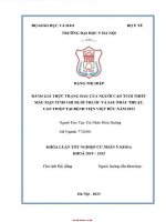 Đánh giá thực trạng đau của người cao tuổi thiếu máu mạn tính chi dưới trước và sau phẫu thuật can thiệp tại bv việt đức năm 2023