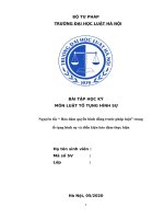 Tiểu luận luật tố tụng hình sự   nguyên tắc “ bảo đảm quyền bình đẳng trước pháp luật” trong tố tụng hình sự và điều kiện bảo đảm thực hiện