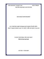 Luận văn thạc sĩ Luật học: Các trường hợp vi phạm quy định về kết hôn – thực trạng pháp luật và thực tiễn áp dụng tại Lào