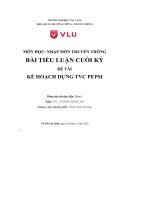 Môn học nhập môn truyền thông bài tiểu luận cuối kỳ đề tài kế hoạch dựng tvc pepsi