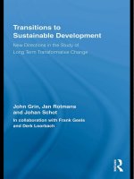 Transitions to sustainable development