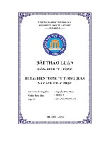 Bài thảo luận  kinh tế lượng đề tài  hiện tượng tự tương quan và cách khắc phục